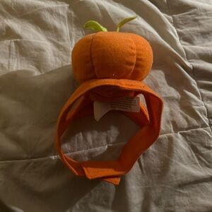 Pumpkin hat for dogs 🎃